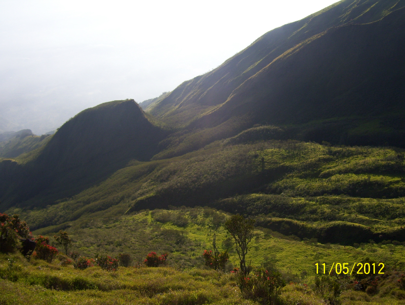 Taman Nasional Gunung Merbabu