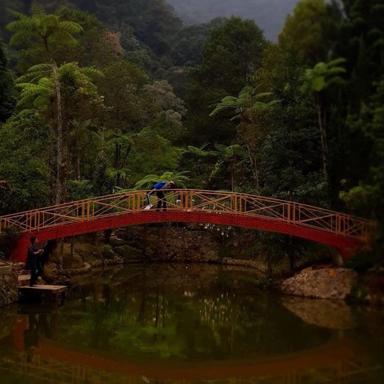 Tempat Wisata di Bogor Yang Instagramable