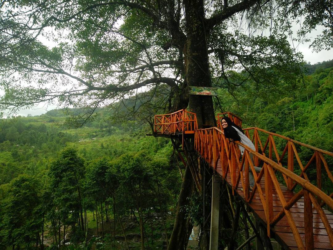 Wisata keluarga di Bogor - Rumah Pohon Curug Cipamingkis