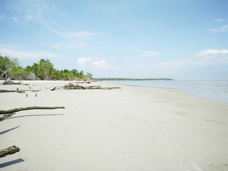 Tanjung Medang Pulau Rupat Provinsi Riau