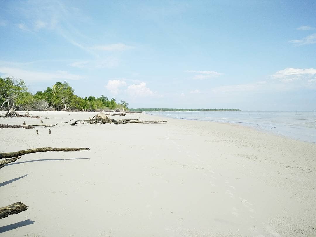 Tanjung Medang Pulau Rupat Provinsi Riau
